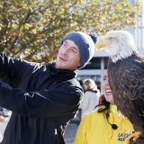 Sur cette photo l'aigle Sherkan, un pygargue à tête blanche lors d'un spectacle de fauconnerie par "Les Aigles du Léman" à Genève en 2022 (archives). KEYSTONE/SALVATORE DI NOLFI